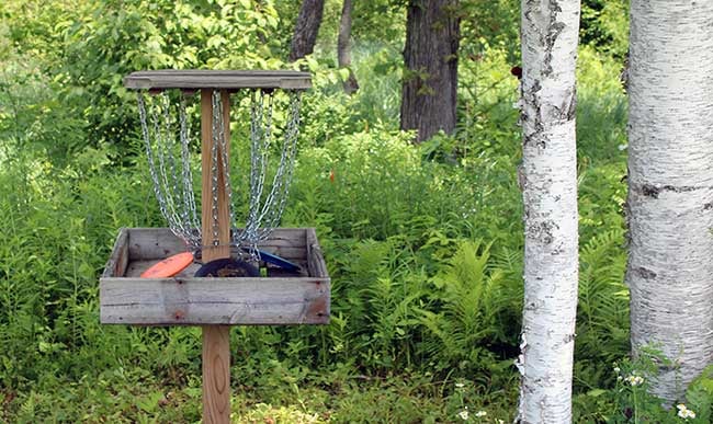 18 holes of fun disc golf