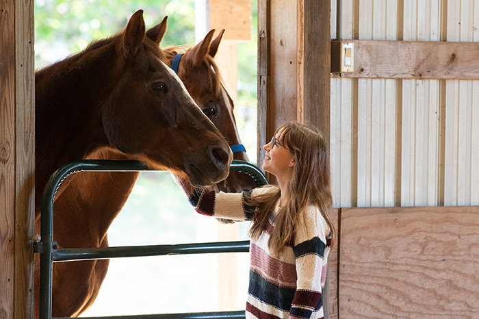 Establishing trust and connection through equine therapy